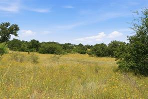 5230 County Road 409 - Photo 24