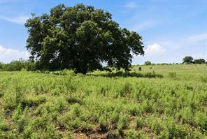 5230 County Road 409 - Photo 33