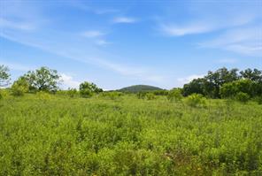 5230 County Road 409 - Photo 34