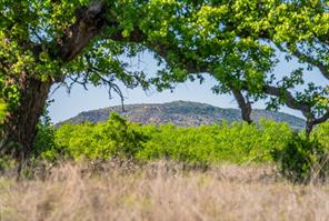 5230 County Road 409 - Photo 4