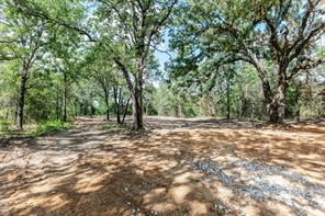 1060 Scott Road - Photo 7