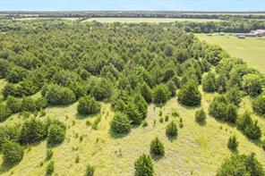 TBD County Road 1061 - Photo 15