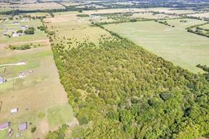 TBD County Road 1061 - Photo 21