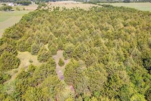 TBD County Road 1061 - Photo 22