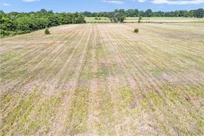 TBD County Road 1061 - Photo 5