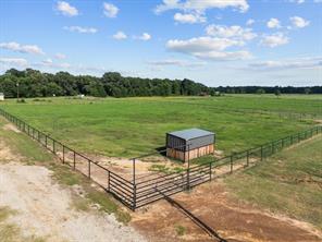 15152 County Road 426 - Photo 36