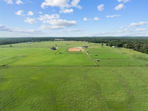 15152 County Road 426 - Photo 38
