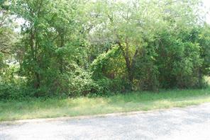 27183 Whispering Meadow Drive - Photo 2