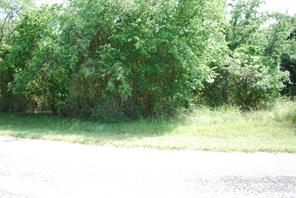 27183 Whispering Meadow Drive - Photo 3