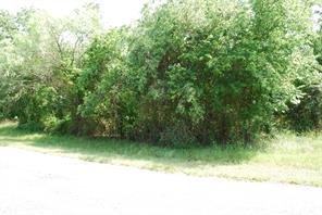 27183 Whispering Meadow Drive - Photo 4