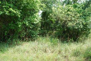 27183 Whispering Meadow Drive - Photo 5