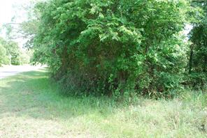 27183 Whispering Meadow Drive - Photo 6