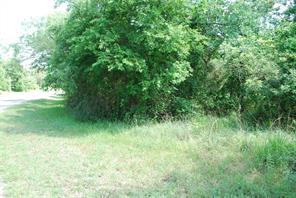 27183 Whispering Meadow Drive - Photo 8