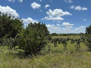 TBD Private Road 1743B - Photo 2