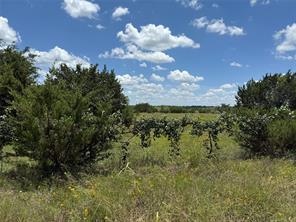 TBD Private Road 1743B - Photo 3
