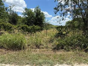TBD Private Road 1743B - Photo 5