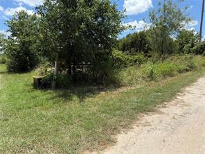 TBD Private Road 1743B - Photo 6