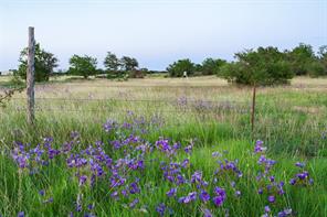 11439 Fm 1602 - Photo 16