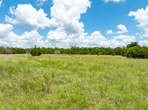 11439 Fm 1602 - Photo 25