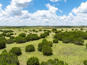11439 Fm 1602 - Photo 26