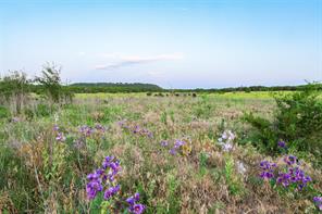 11439 Fm 1602 - Photo 3