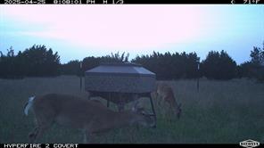 11439 Fm 1602 - Photo 31