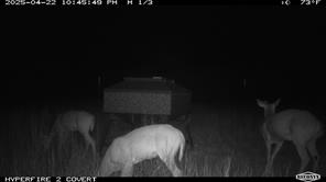 11439 Fm 1602 - Photo 32