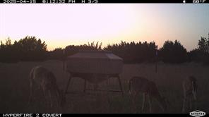 11439 Fm 1602 - Photo 33
