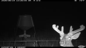 11439 Fm 1602 - Photo 34