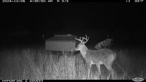 11439 Fm 1602 - Photo 36