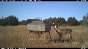 11439 Fm 1602 - Photo 7