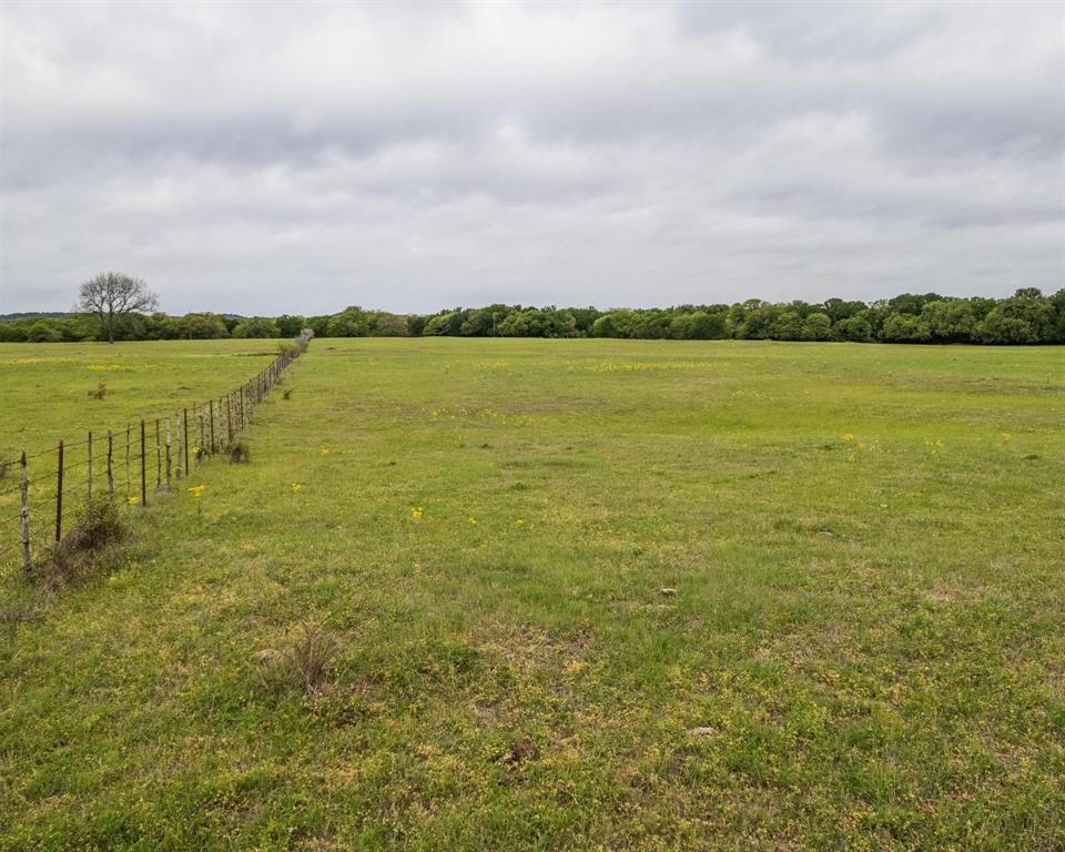 TBD County Road 160 - Photo 12