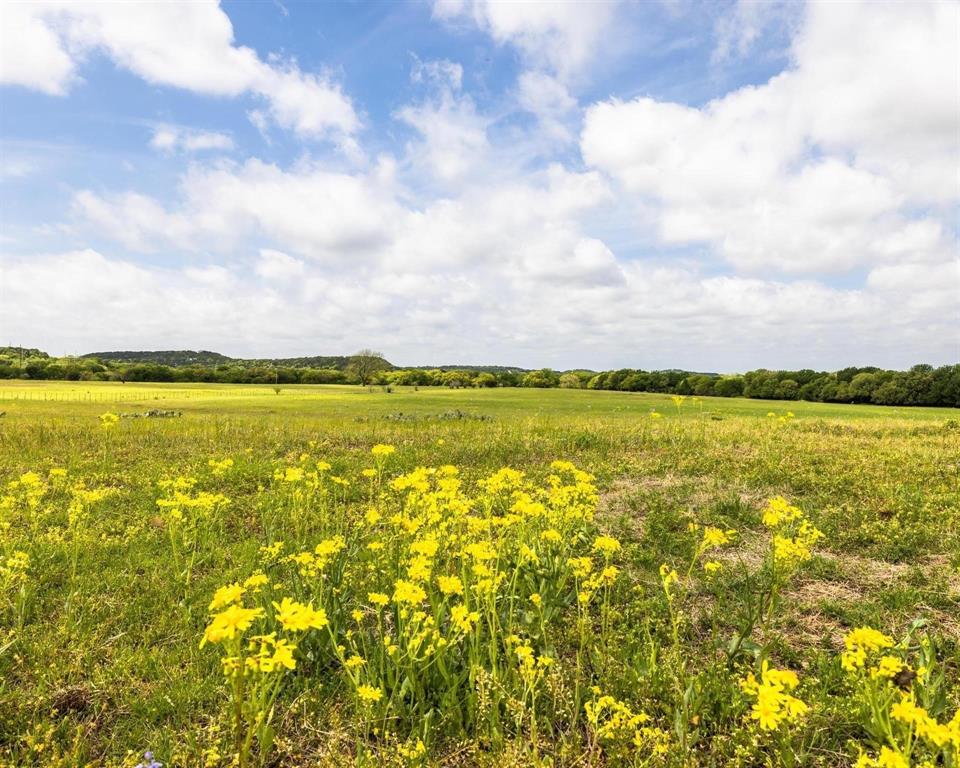 TBD County Road 160 - Photo 7