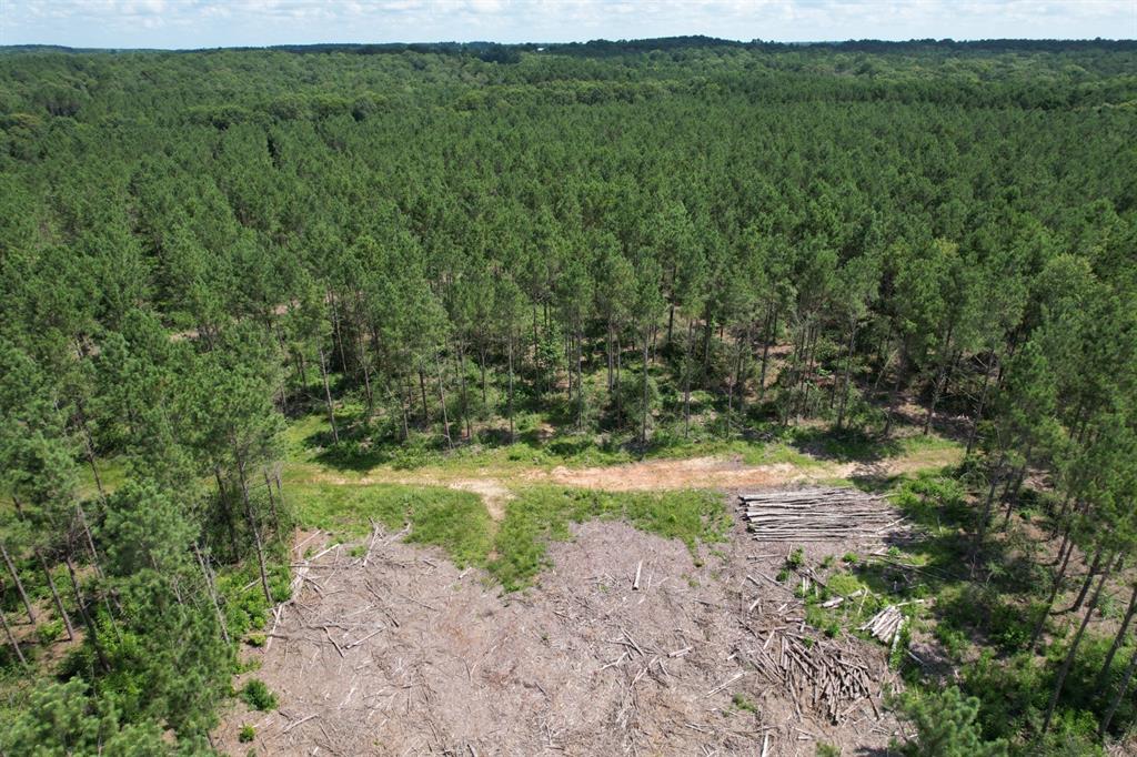 TBD County Road 3706 - Photo 11