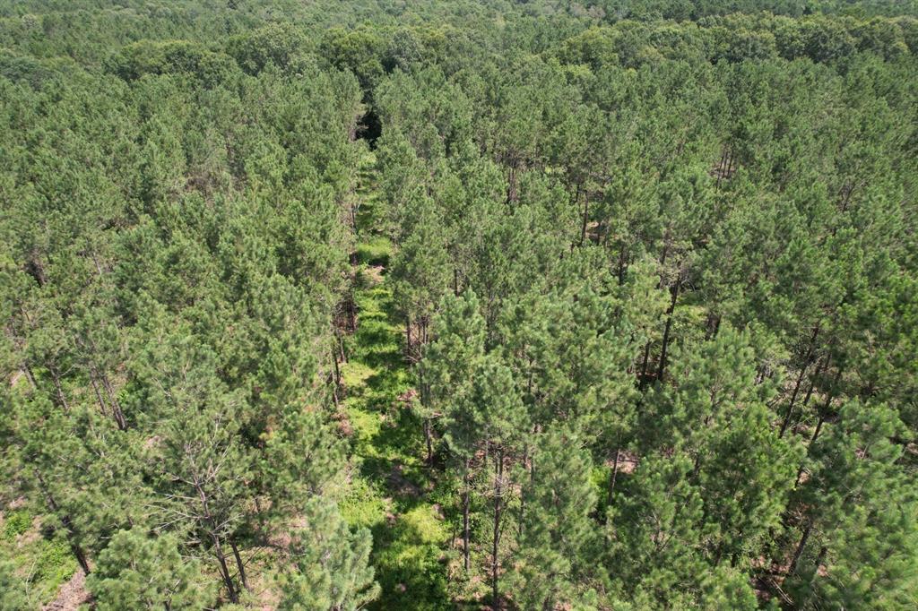 TBD County Road 3706 - Photo 12