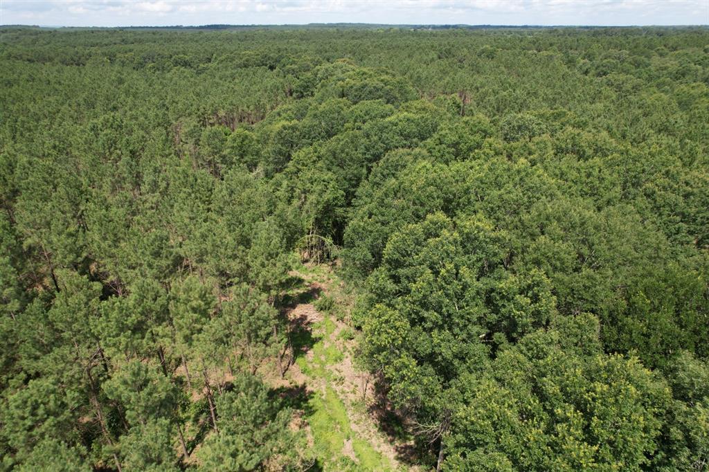 TBD County Road 3706 - Photo 13