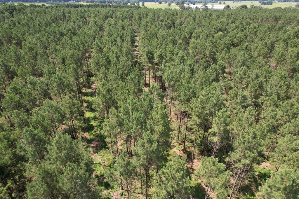 TBD County Road 3706 - Photo 14