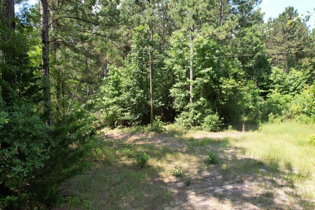 TBD County Road 3706 - Photo 15