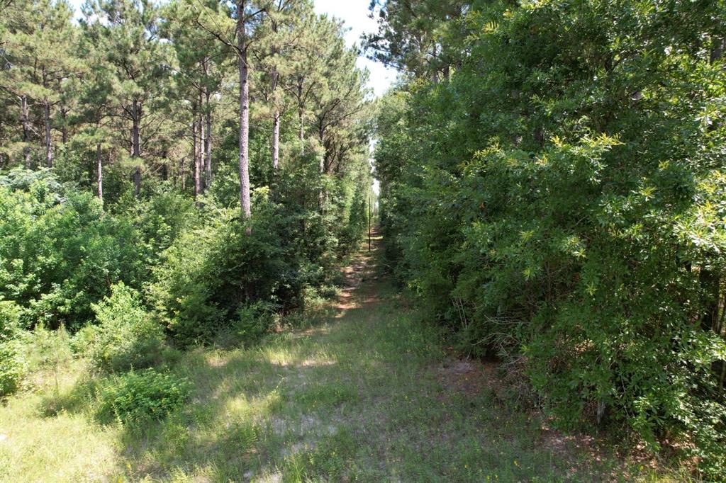 TBD County Road 3706 - Photo 16