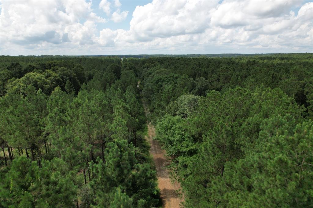 TBD County Road 3706 - Photo 3