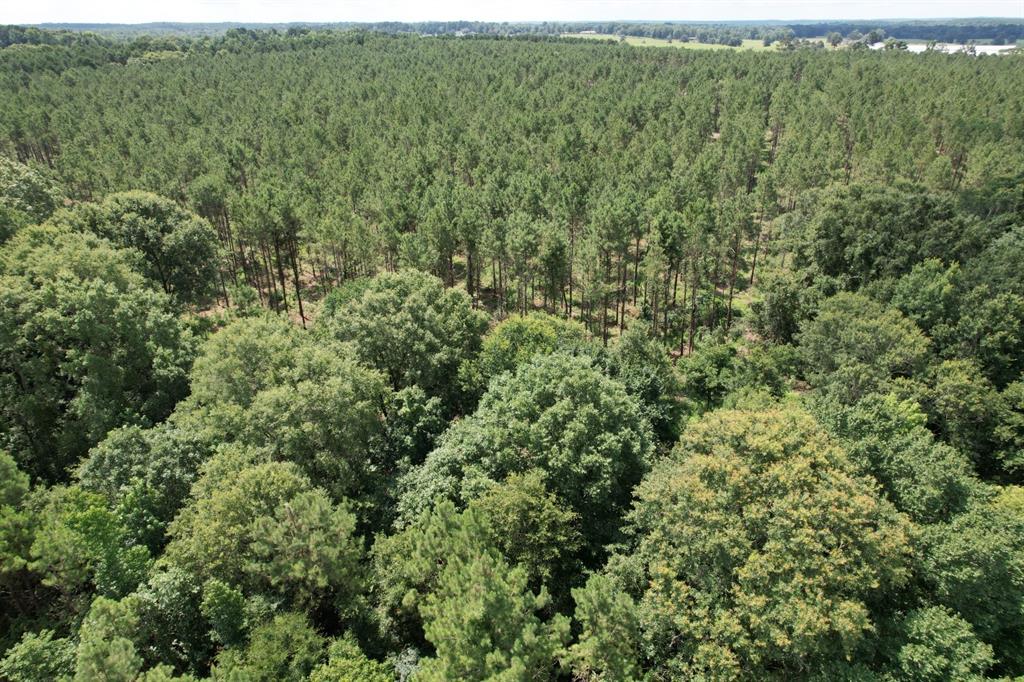 TBD County Road 3706 - Photo 5