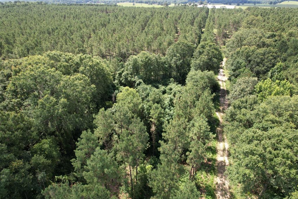 TBD County Road 3706 - Photo 6