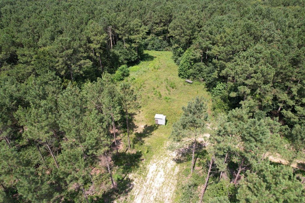 TBD County Road 3706 - Photo 8