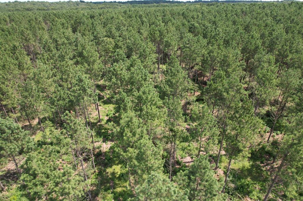 TBD County Road 3706 - Photo 9