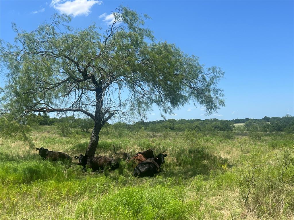 771 HCR 2233 - Photo 16