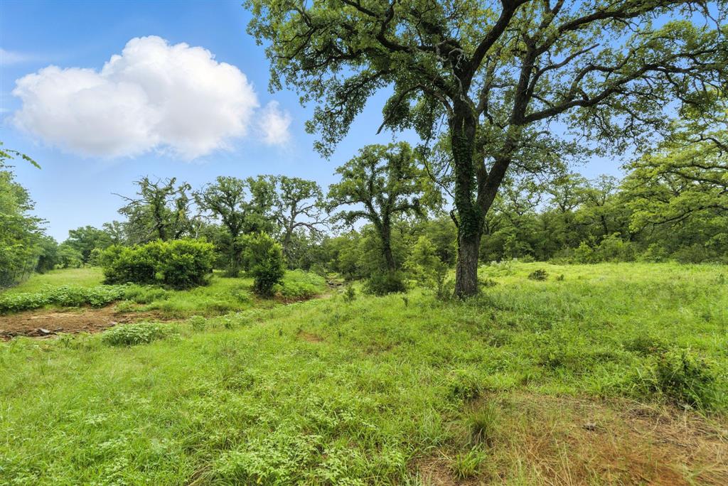 TBD US 380 Highway - Photo 13