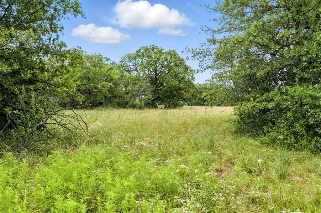 TBD US 380 Highway - Photo 15