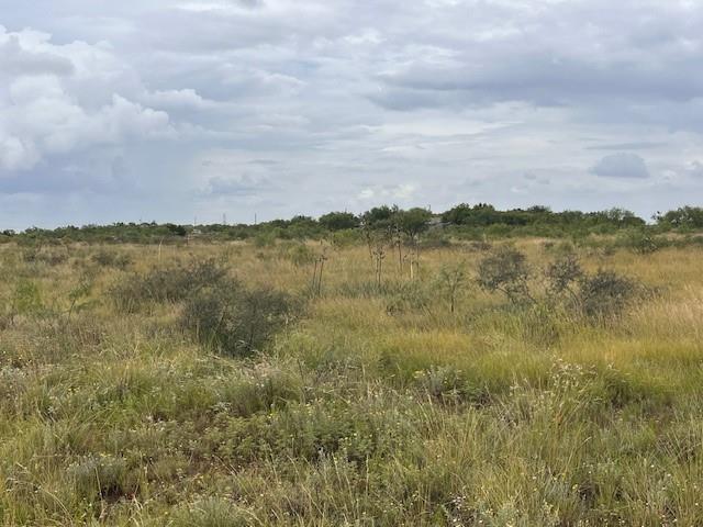 TBD1 County Road 405 - Photo 15