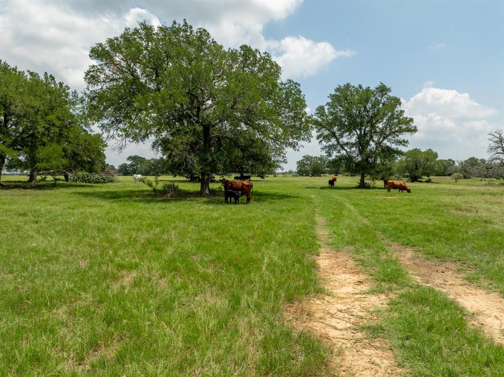 5315 Fm 932 - Photo 36