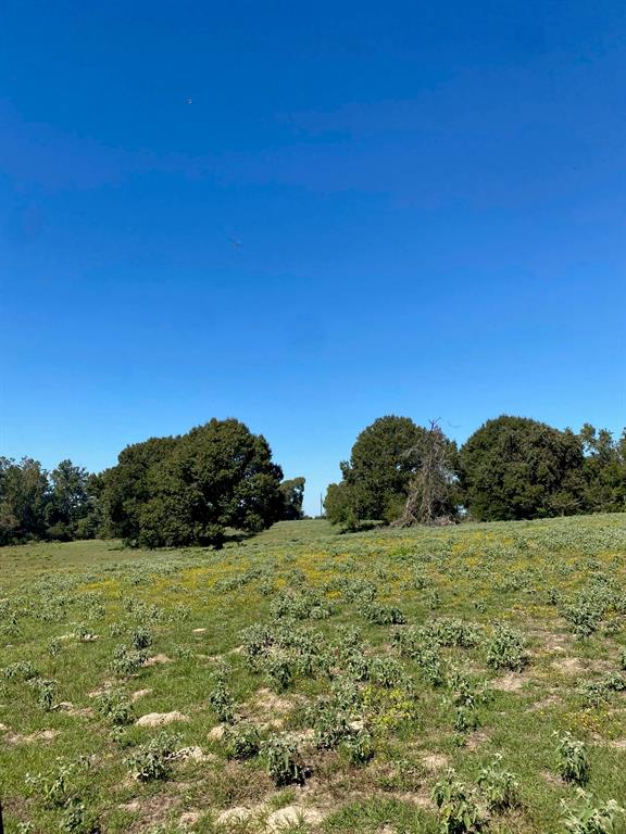 009 County Rd 242 - Photo 2
